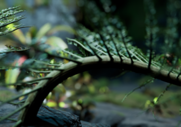 Managing Colour in Production