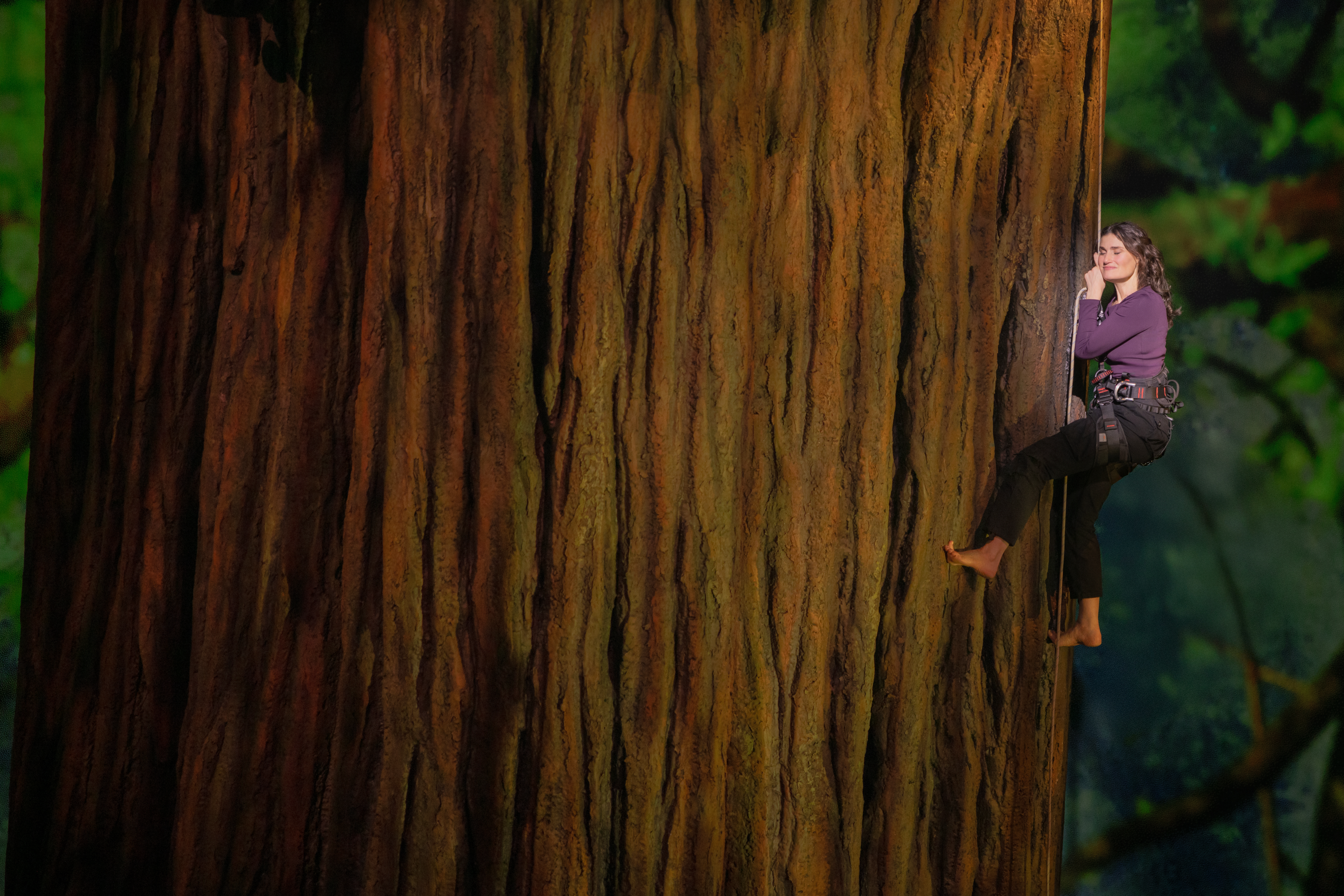 Idina Menzel Redwood projection Broadway Disguise technology
