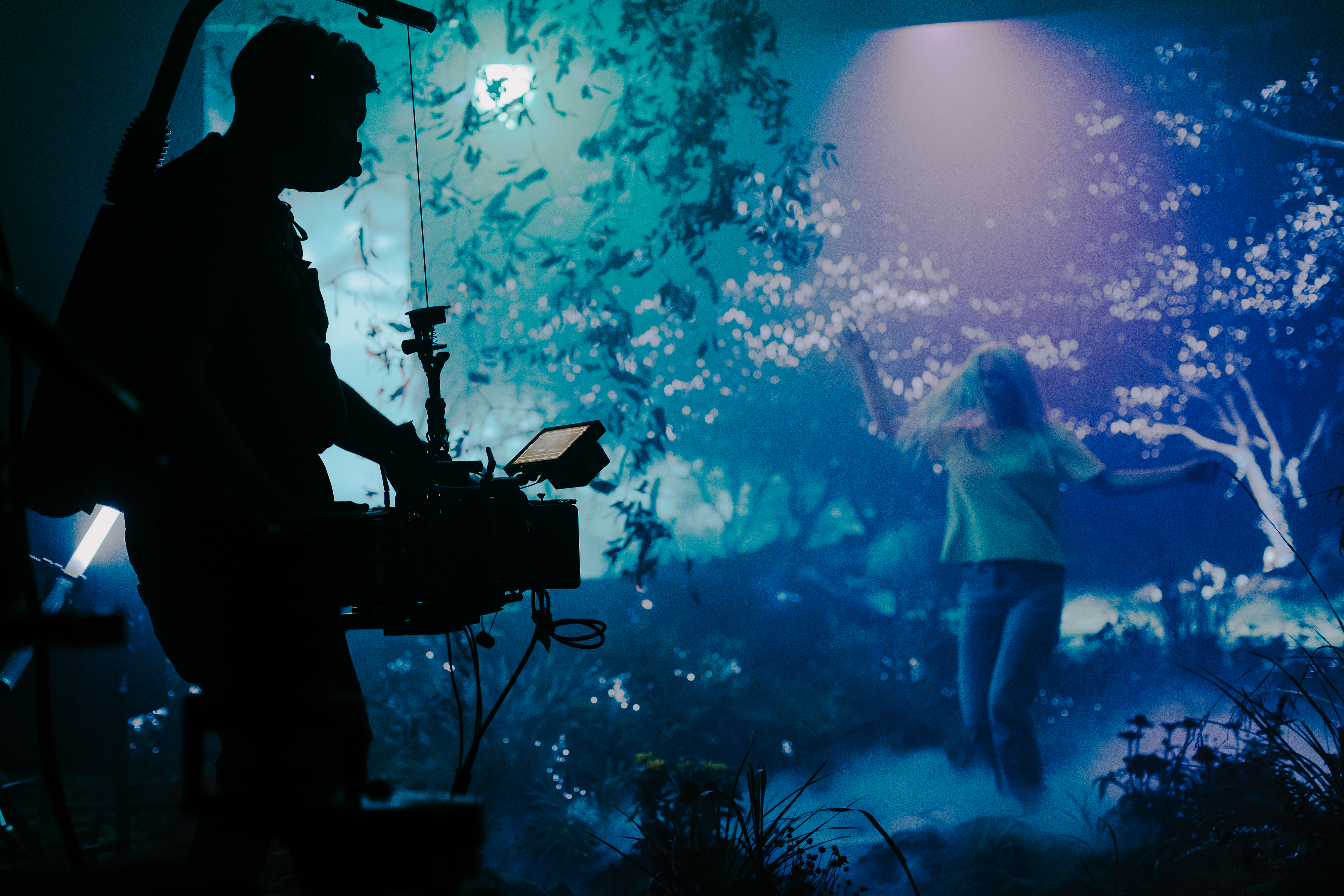 Emily Rowed music video Disguise services