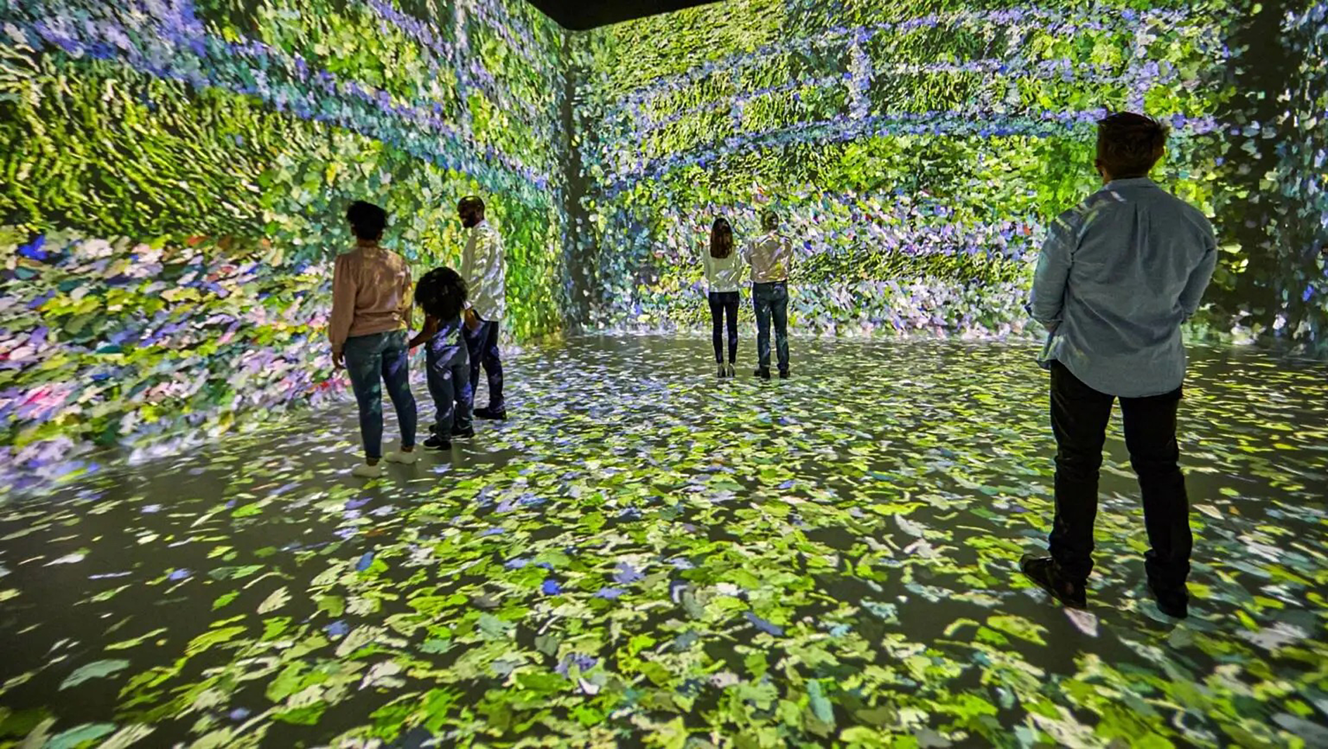 frameless luke halls disguise