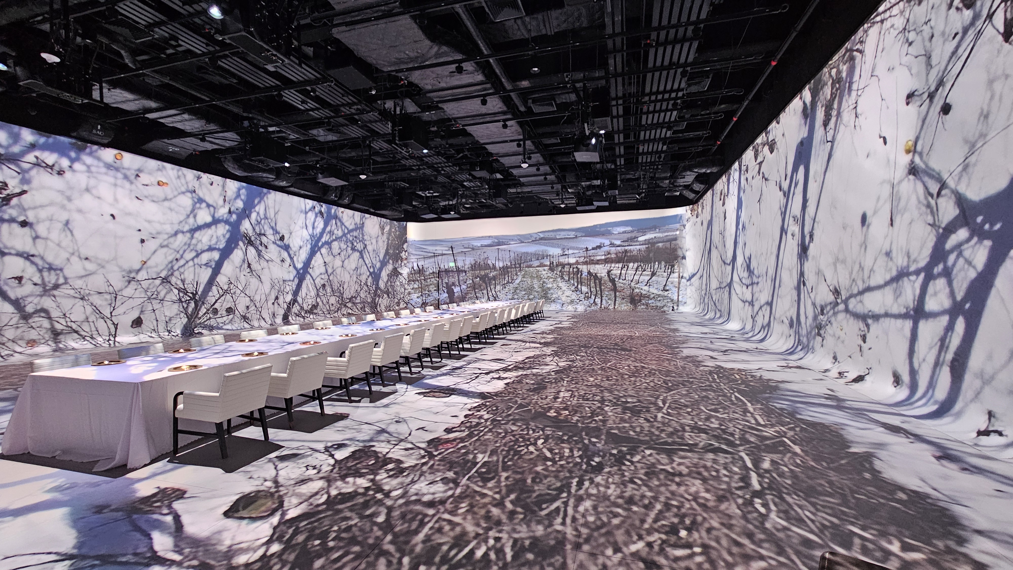 middle east immersive experience