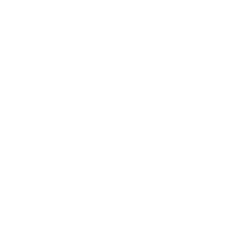 White Light Logo