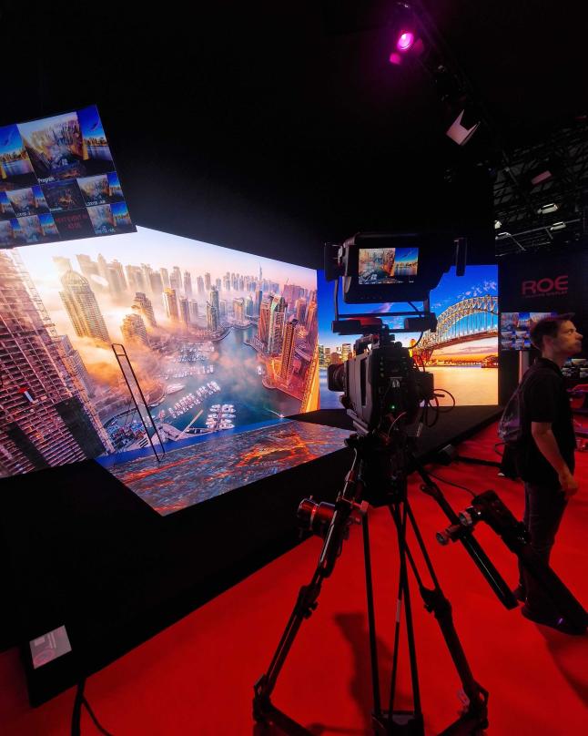 IBC 23 Disguise ROE
