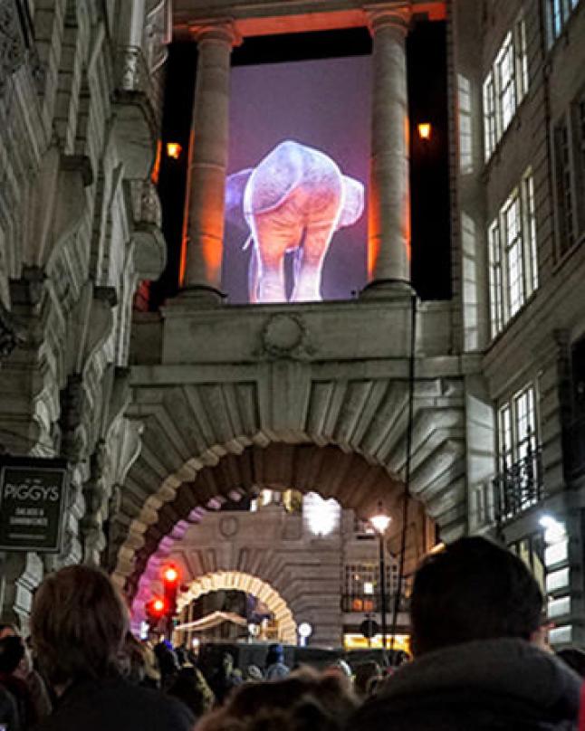 Lumiere London Disguise