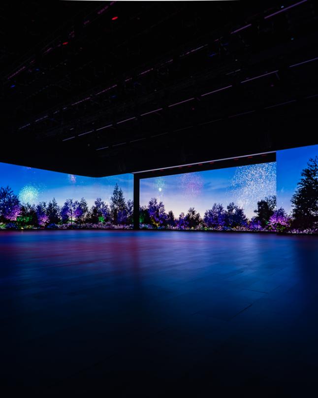 MGM's Fantasy Box: Weddings Scene with fireworks and structure removed