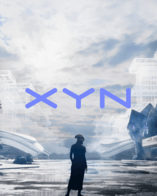 Sony XYN Disguise