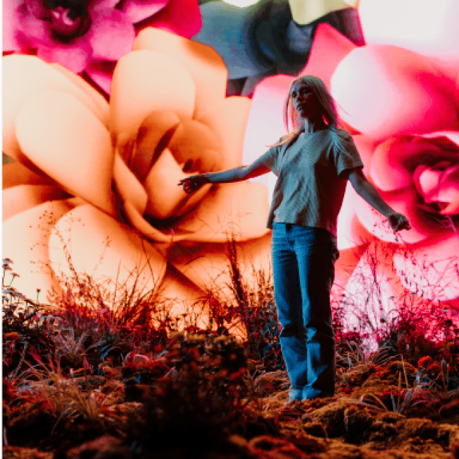 Social media campaigns shoots with Studio Pro