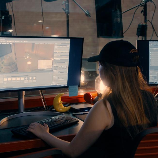 Full Sail Disguise Services