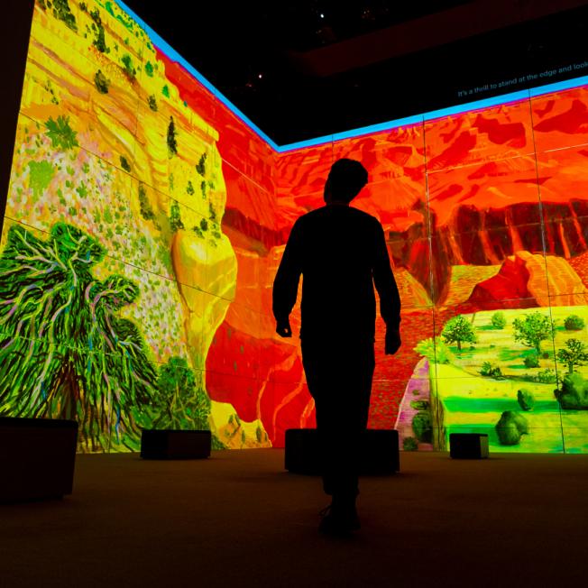 Lightroom David Hockney Disguise Projection Mapping for Location Based Experiences