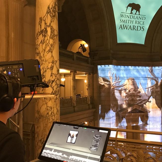 video operator using Designer for projection of Mooses on building interior 