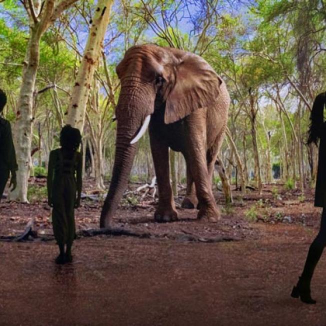 People walking in illuminarium's virtual environment with animated elephants