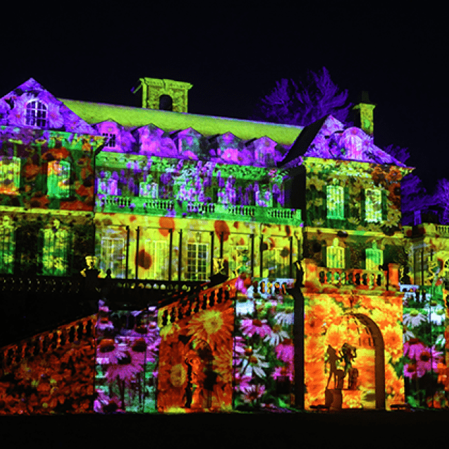 Flowers projected on Westbury House