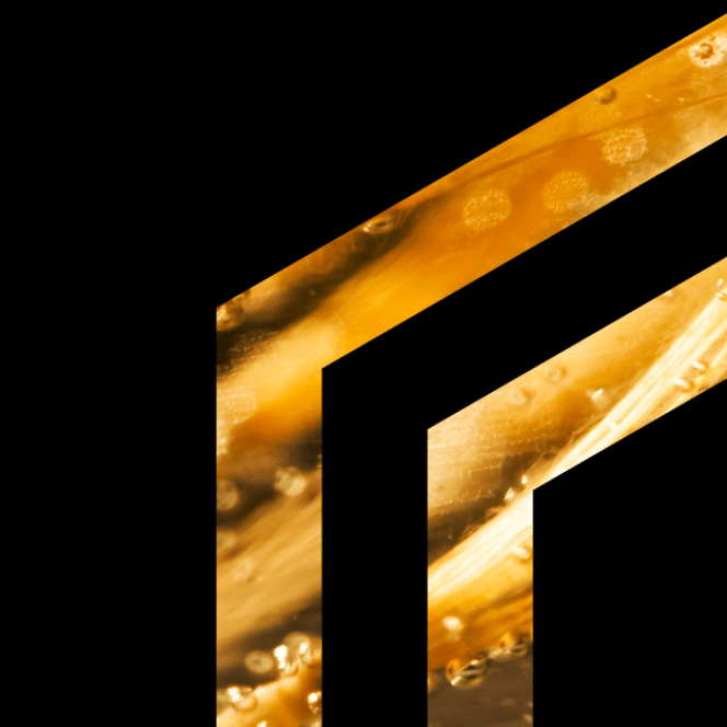CC Awards Background (plain)