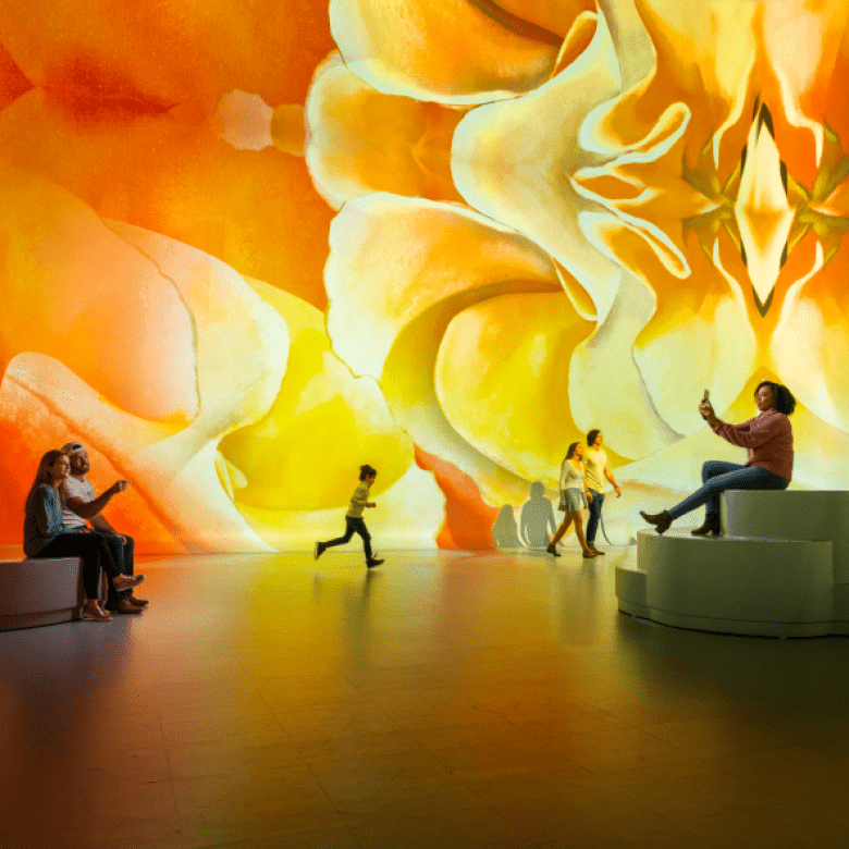 LBX Illuminarium