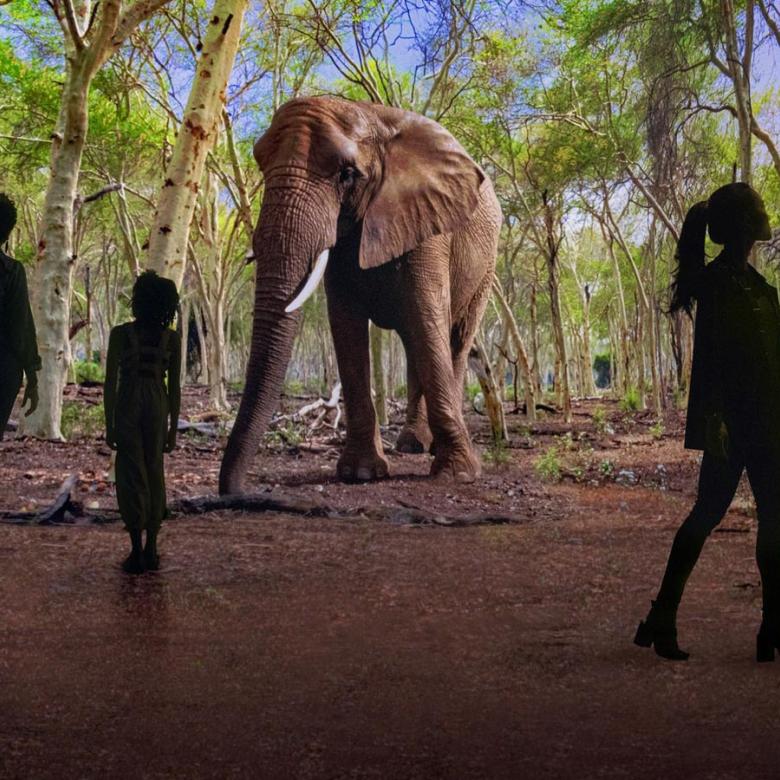 People walking in illuminarium's virtual environment with animated elephants