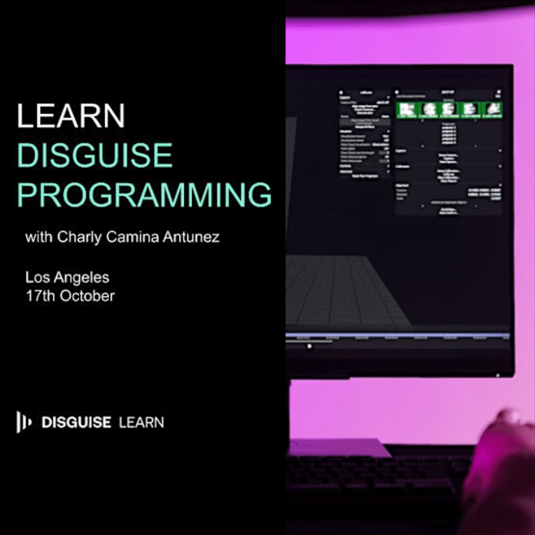 Disguise Programming