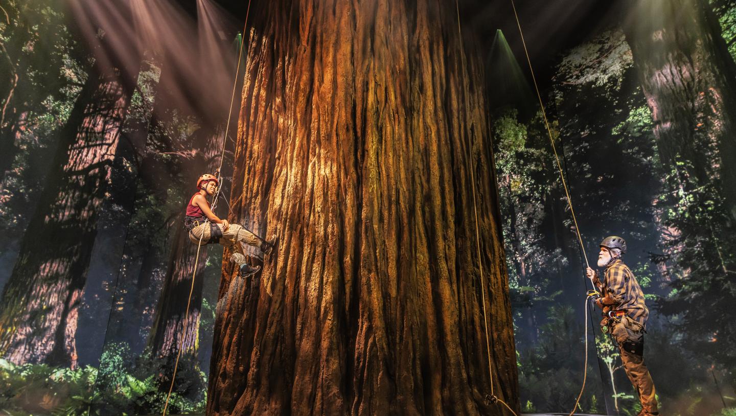 Redwood broadway projection Disguise technology