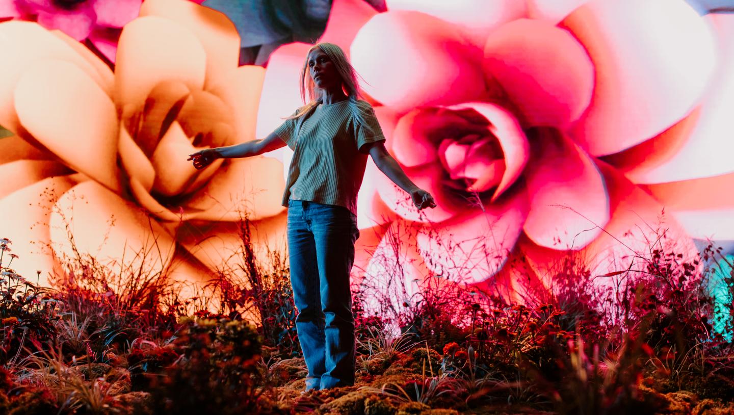 Disguise Services powers Emily Rowed's music video | Disguise