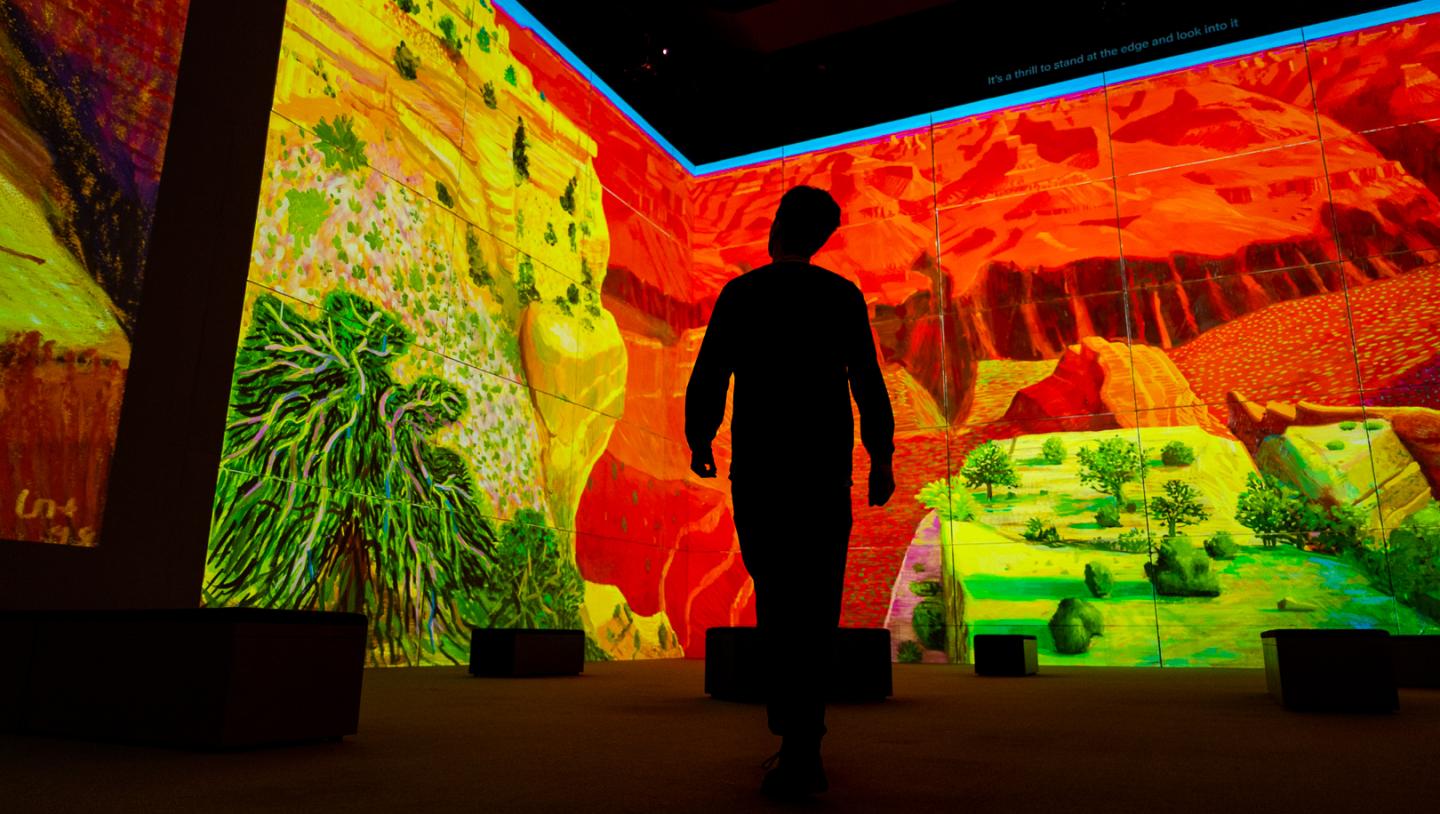 Lightroom David Hockney Disguise Projection Mapping for Location Based Experiences