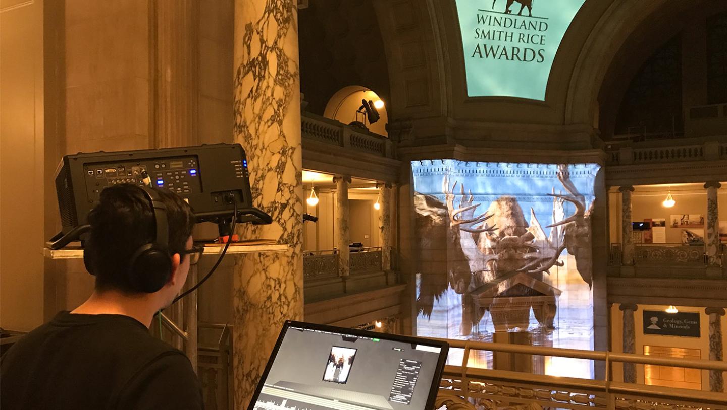 video operator using Designer for projection of Mooses on building interior 