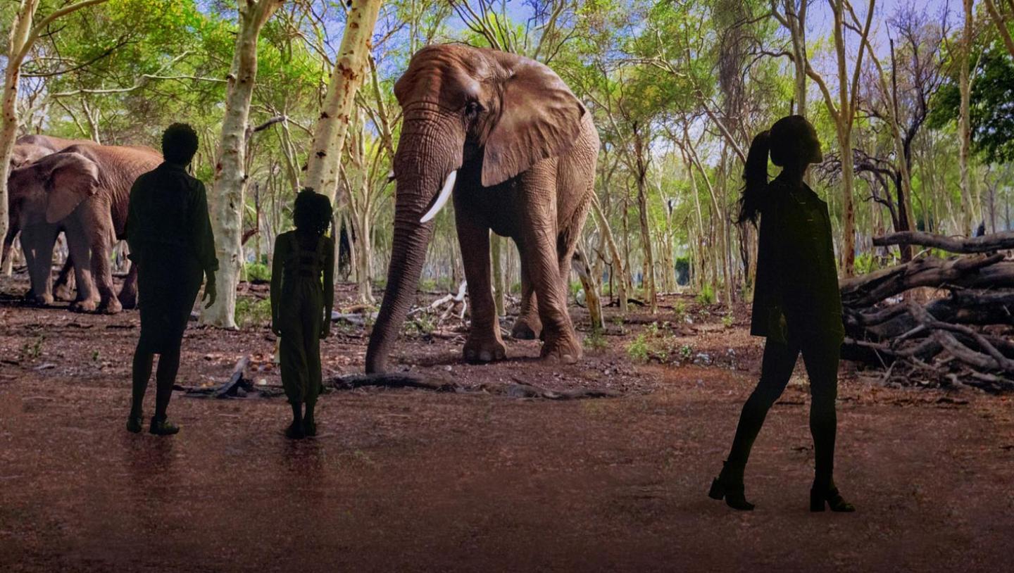 People walking in illuminarium's virtual environment with animated elephants